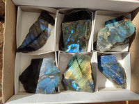 Polished On One Side Labradorite x 6 From Tulear, Madagascar - Toprock Gemstones and Minerals 