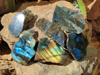 Polished On One Side Labradorite x 6 From Tulear, Madagascar - Toprock Gemstones and Minerals 