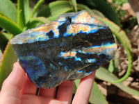 Polished On One Side Labradorite x 6 From Tulear, Madagascar - Toprock Gemstones and Minerals 