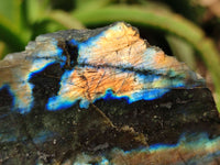 Polished On One Side Labradorite x 6 From Tulear, Madagascar - Toprock Gemstones and Minerals 