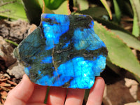 Polished On One Side Labradorite x 6 From Tulear, Madagascar - Toprock Gemstones and Minerals 