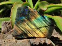 Polished On One Side Labradorite x 6 From Tulear, Madagascar - Toprock Gemstones and Minerals 