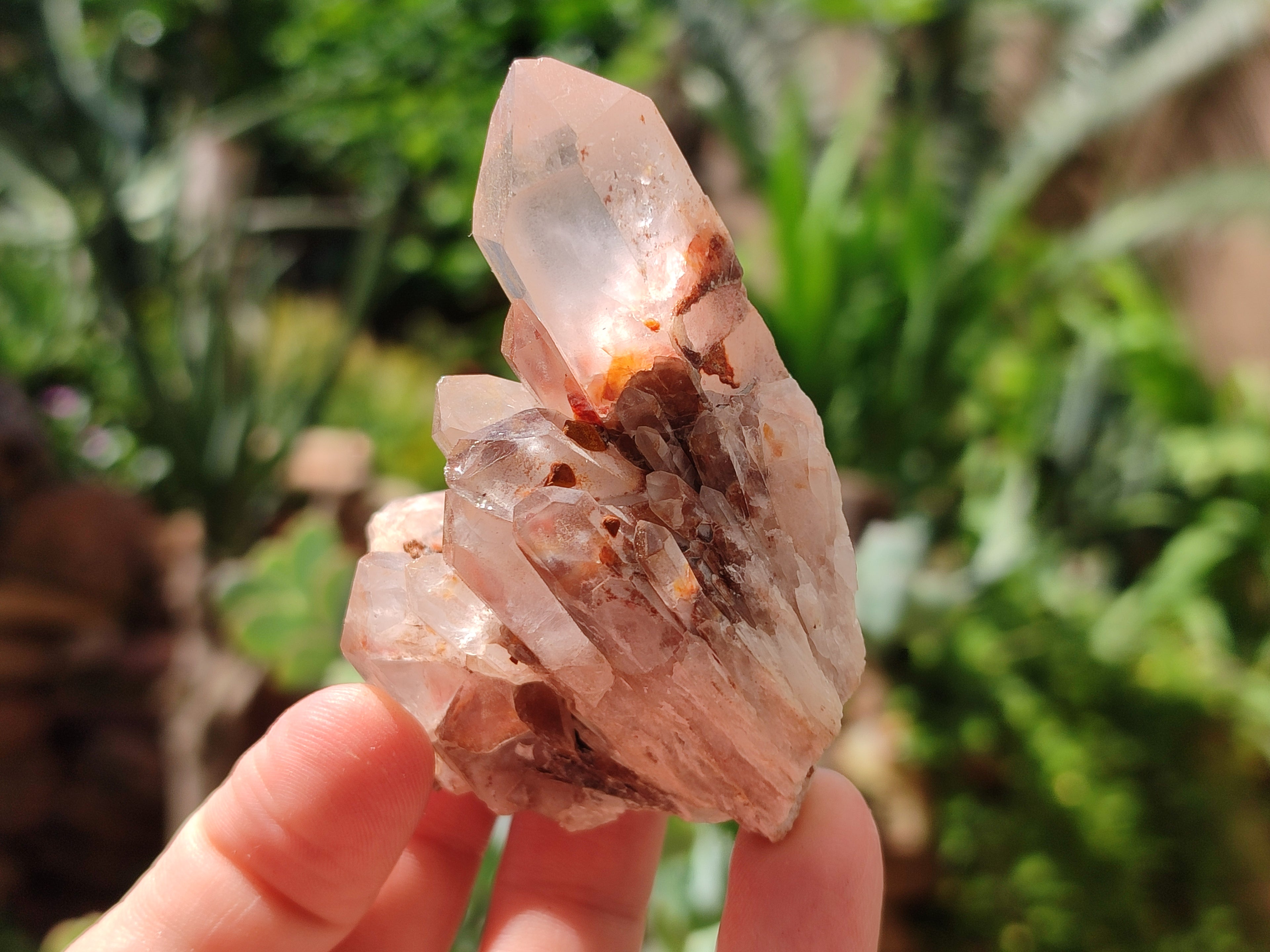 Natural Mixed Quartz Clusters x 13 From Madagascar - Toprock Gemstones and Minerals 