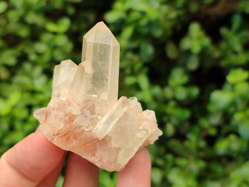 Natural Mixed Quartz Clusters x 13 From Madagascar - Toprock Gemstones and Minerals 