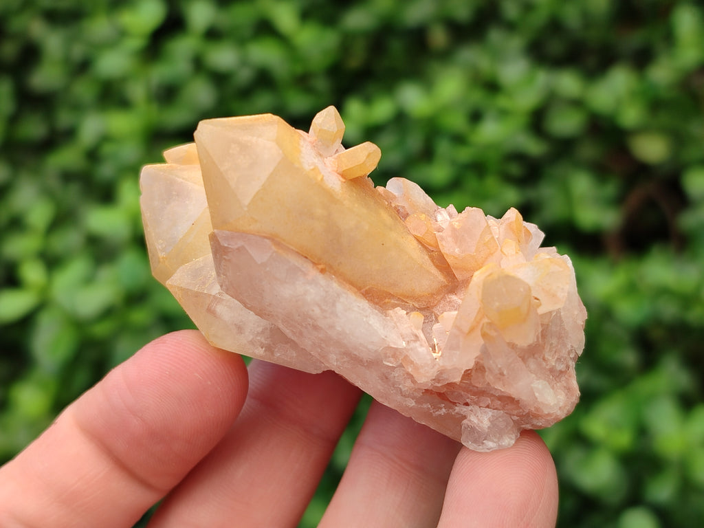 Natural Mixed Quartz Clusters x 13 From Madagascar - Toprock Gemstones and Minerals 