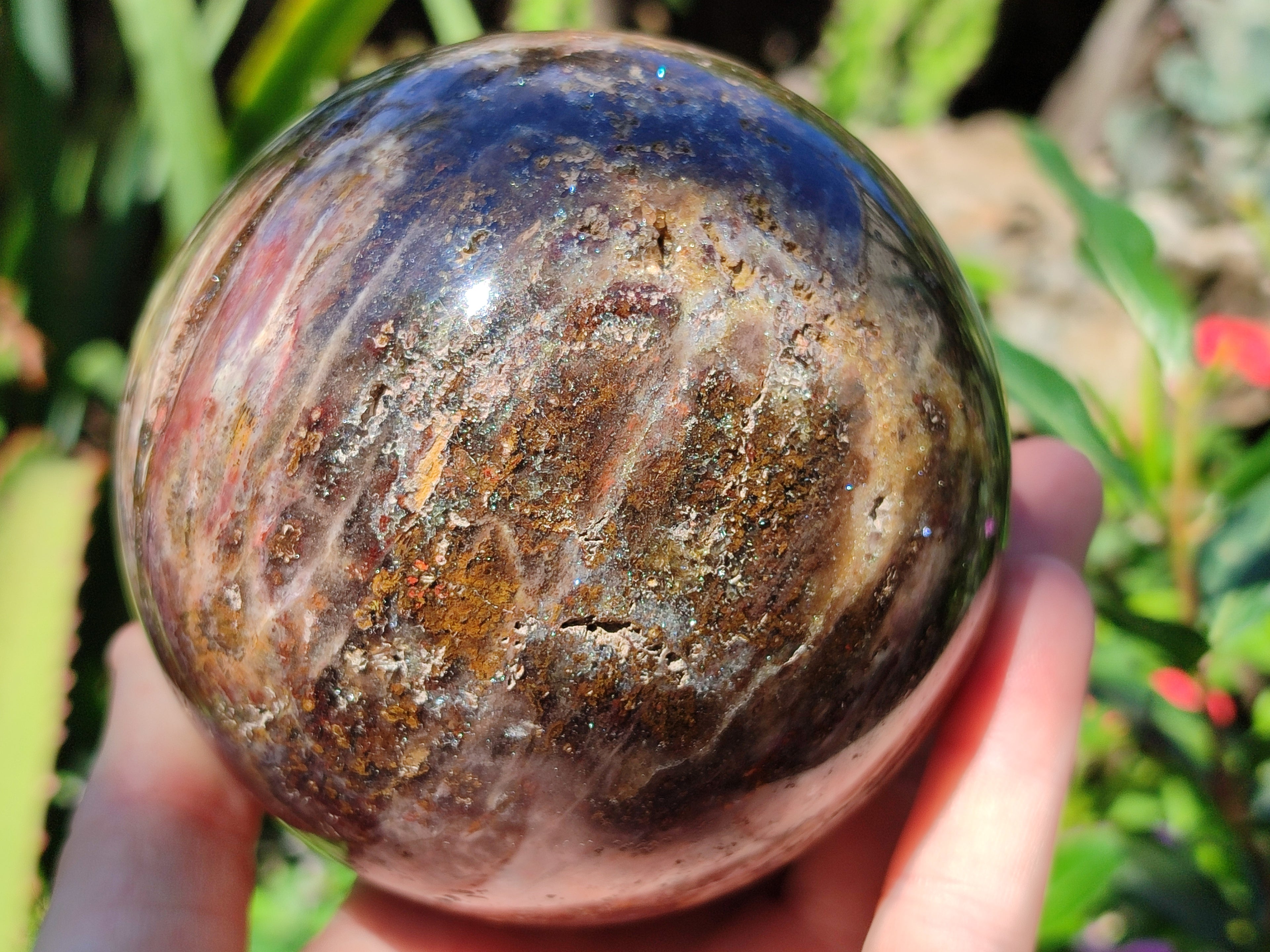 Polished Podocarpus Petrified Wood Spheres x 2 From Mahajanga, Madagascar - Toprock Gemstones and Minerals 