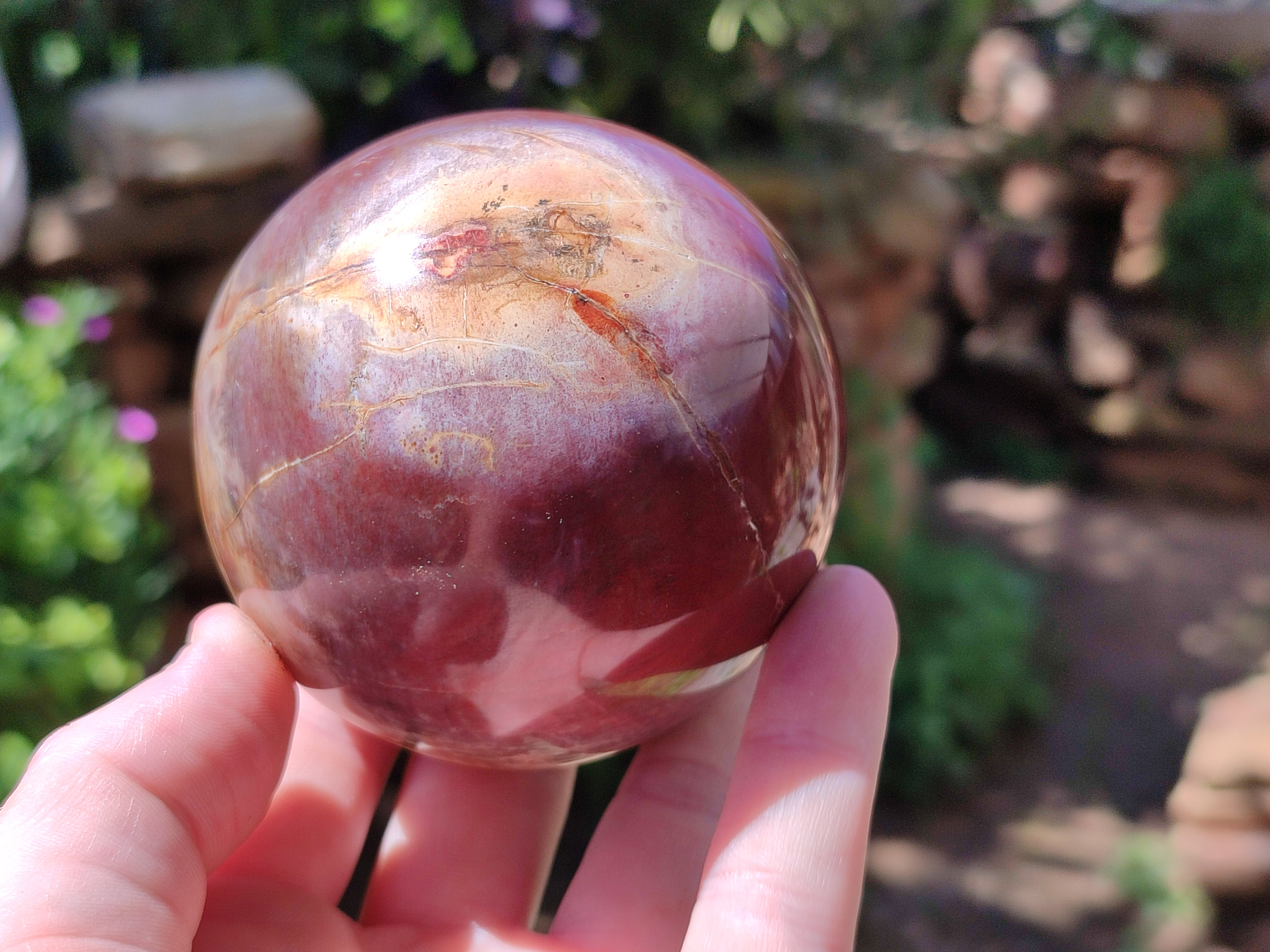 Polished Podocarpus Petrified Wood Spheres x 2 From Mahajanga, Madagascar - Toprock Gemstones and Minerals 