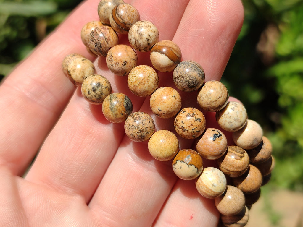 Polished Namibian Desert Picture Stone Jasper Beaded Stretch Buddha Bracelet - Sold Per Item - From Namibia - Toprock Gemstones and Minerals 