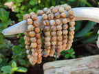 Polished Namibian Desert Picture Stone Jasper Beaded Stretch Buddha Bracelet - Sold Per Item - From Namibia - Toprock Gemstones and Minerals 
