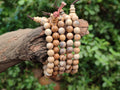 Polished Namibian Desert Picture Stone Jasper Beaded Stretch Buddha Bracelet - Sold Per Item - From Namibia - Toprock Gemstones and Minerals 