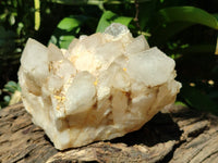 Natural Candle Quartz Clusters x 2 From Madagascar - Toprock Gemstones and Minerals 