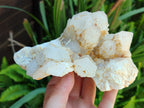 Natural Candle Quartz Clusters x 2 From Madagascar - Toprock Gemstones and Minerals 