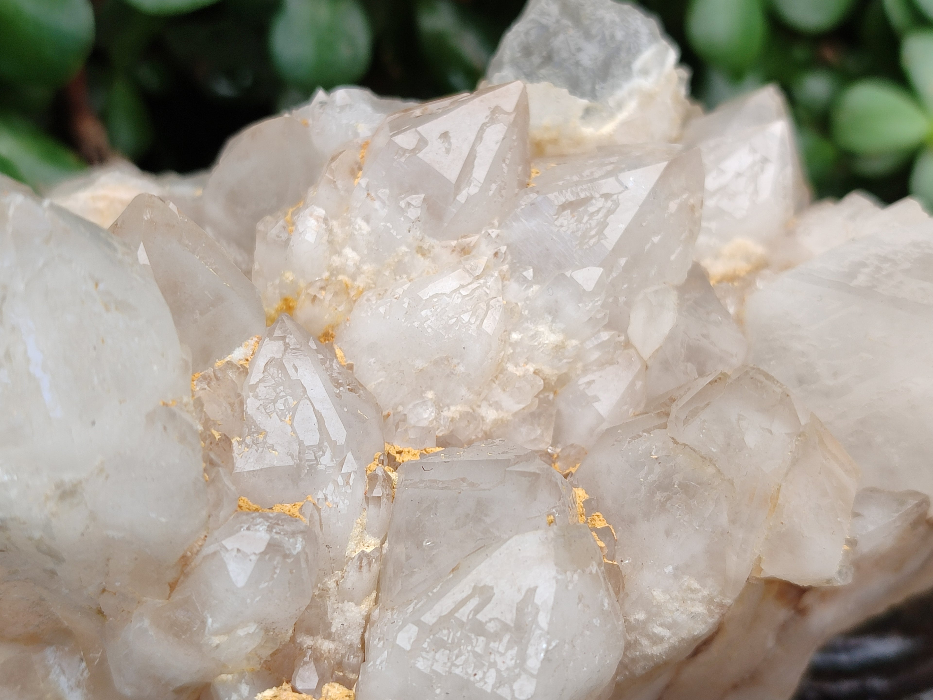 Natural Candle Quartz Clusters x 2 From Madagascar - Toprock Gemstones and Minerals 