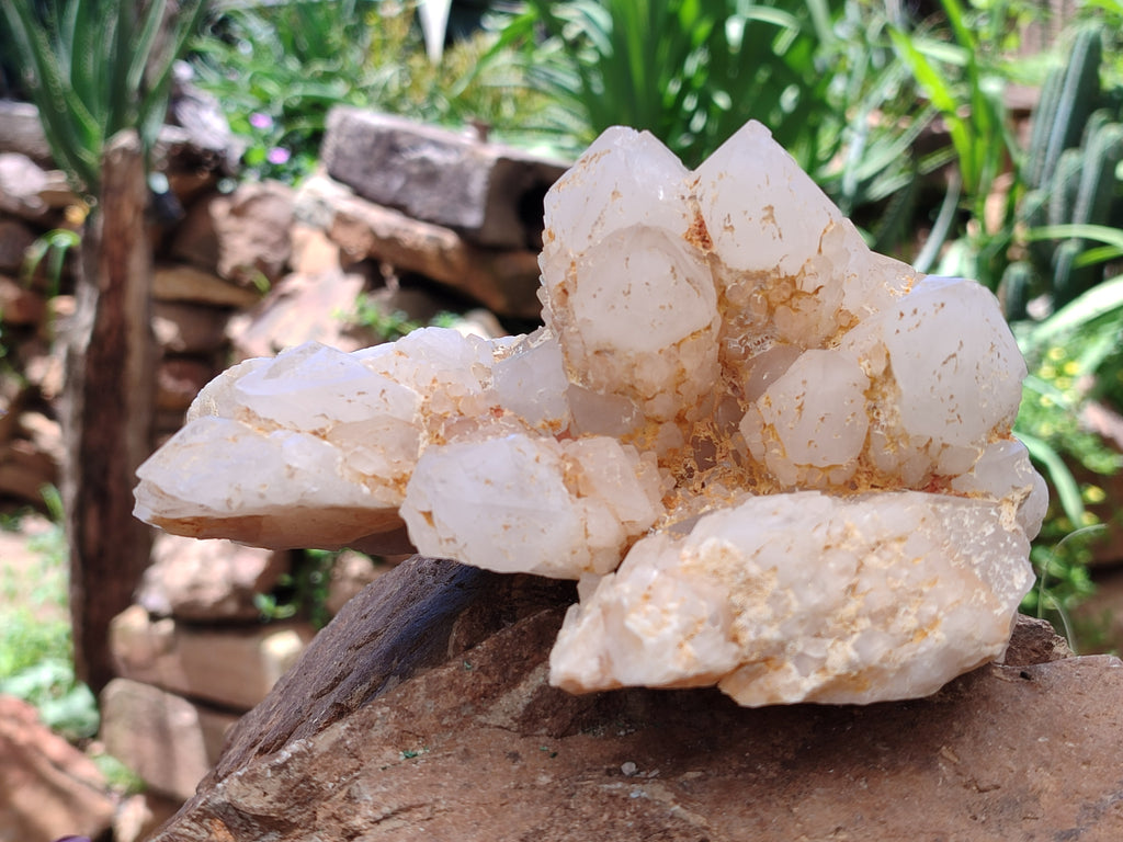 Natural Candle Quartz Clusters x 2 From Madagascar - Toprock Gemstones and Minerals 