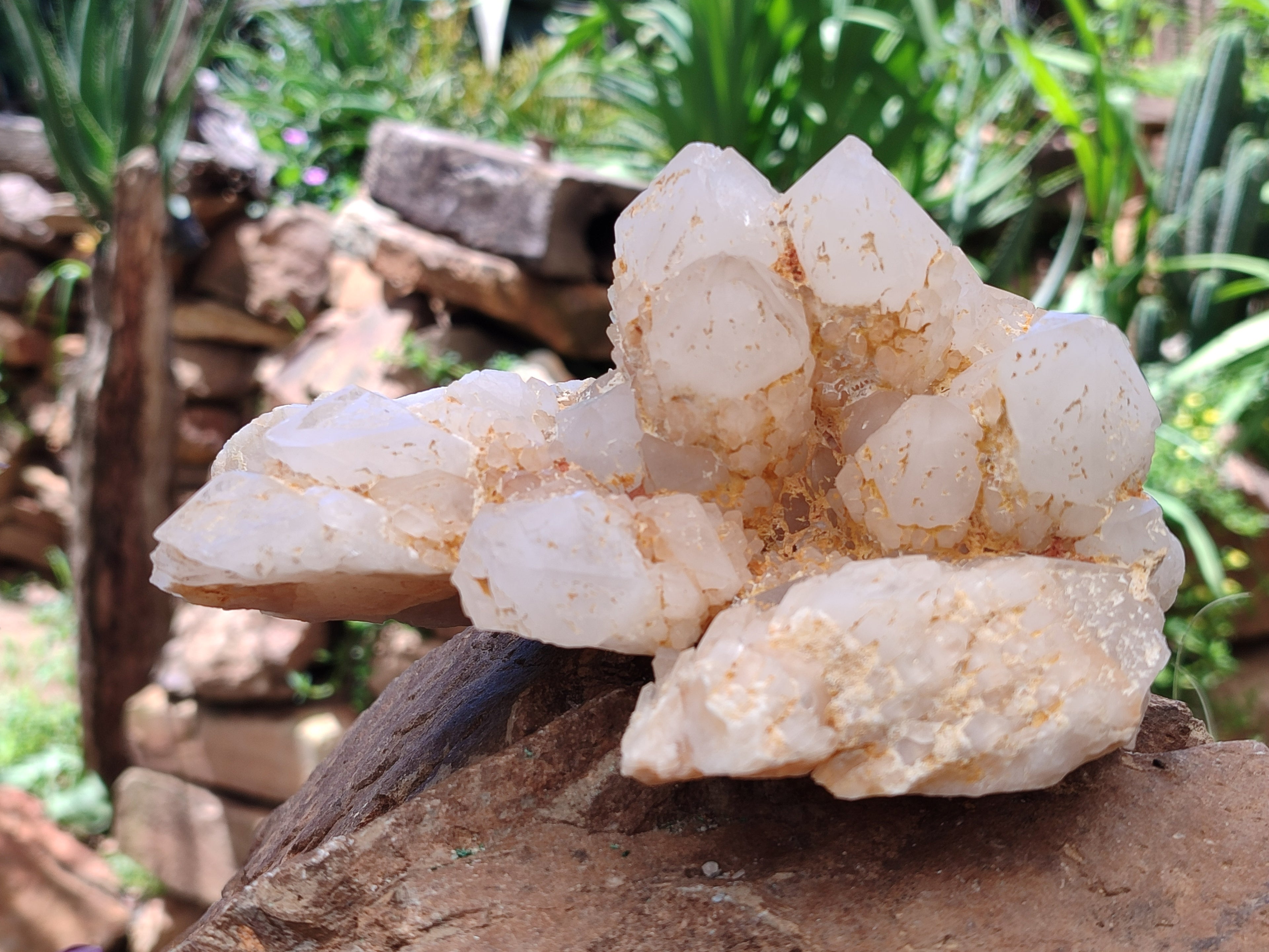 Natural Candle Quartz Clusters x 2 From Madagascar - Toprock Gemstones and Minerals 