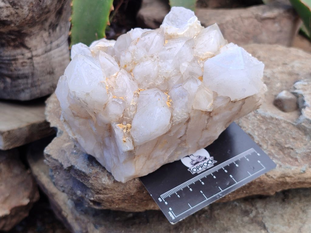 Natural Candle Quartz Clusters x 2 From Madagascar - Toprock Gemstones and Minerals 