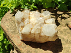 Natural Candle Quartz Clusters x 2 From Madagascar - Toprock Gemstones and Minerals 