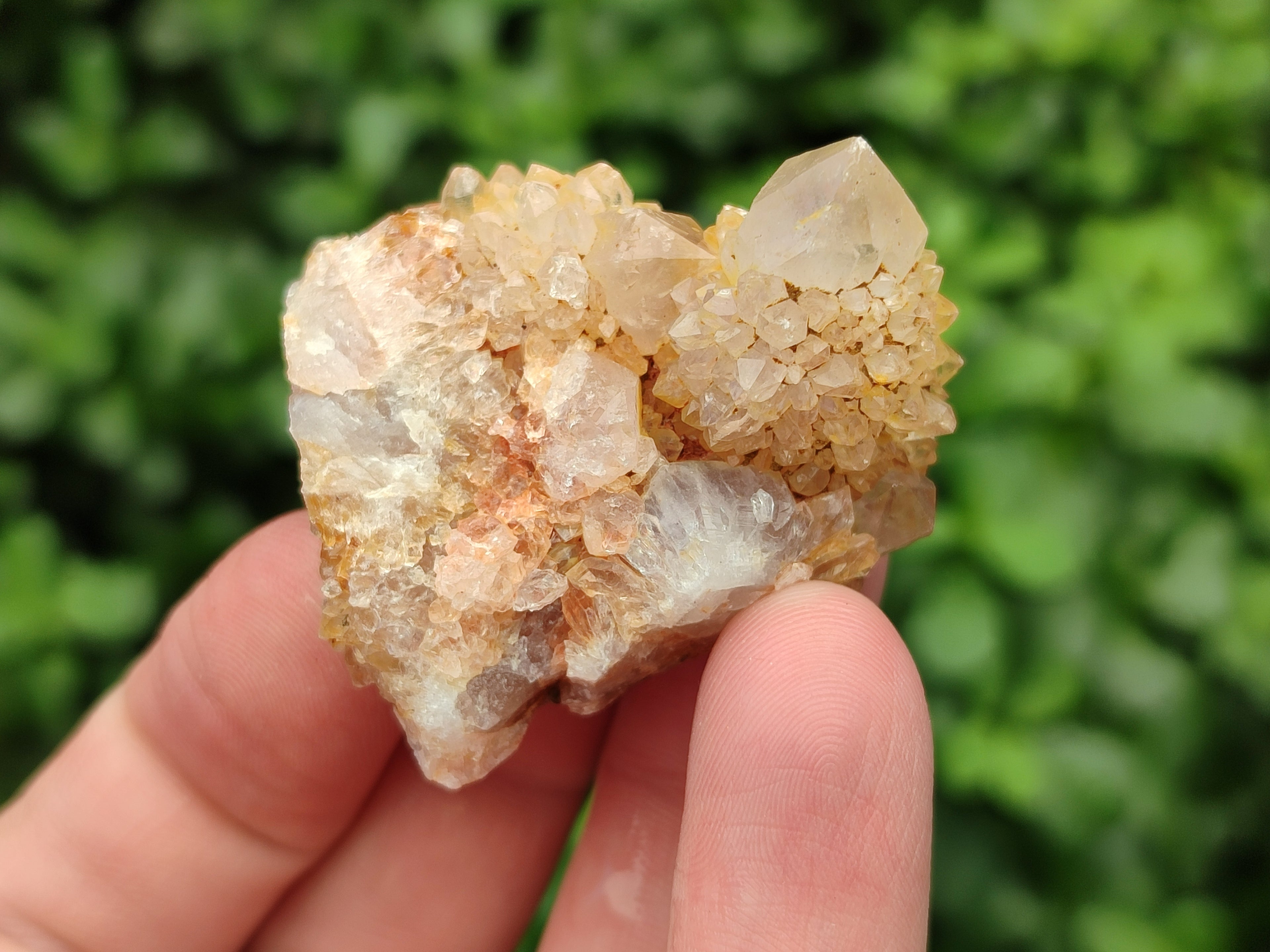 Natural Mixed Spirit Quartz Specimens x 70 From Boekenhouthoek, South Africa - Toprock Gemstones and Minerals 