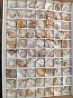Natural Mixed Spirit Quartz Specimens x 70 From Boekenhouthoek, South Africa - Toprock Gemstones and Minerals 