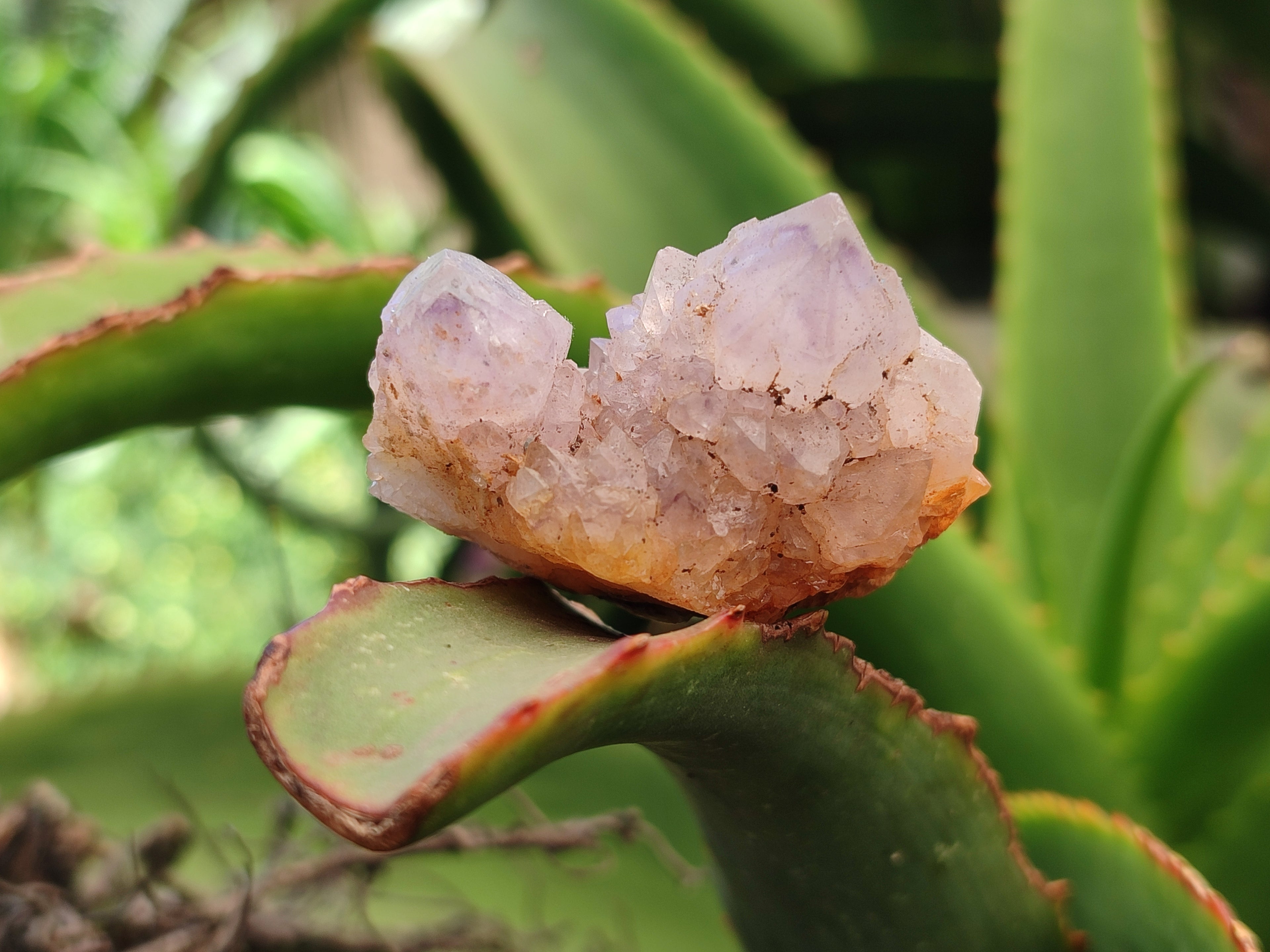 Natural Mixed Spirit Quartz Specimens x 70 From Boekenhouthoek, South Africa - Toprock Gemstones and Minerals 