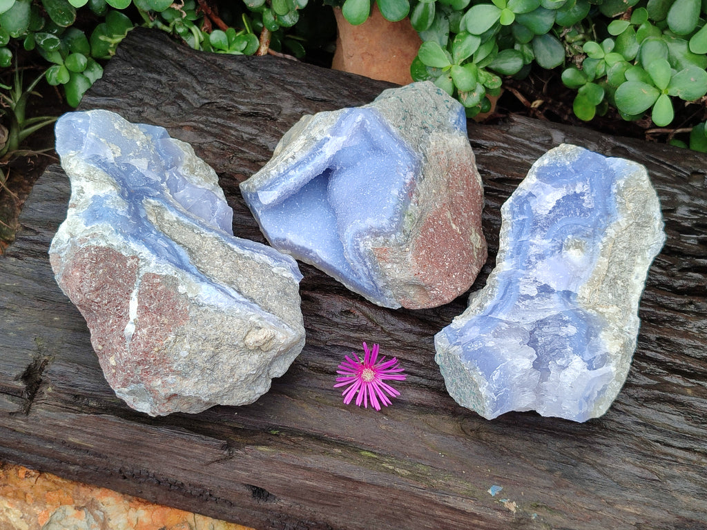 Natural Blue Lace Agate Geode Specimens x 3 From Malawi - Toprock Gemstones and Minerals 