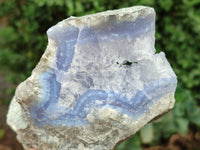 Natural Blue Lace Agate Geode Specimens x 3 From Malawi - Toprock Gemstones and Minerals 