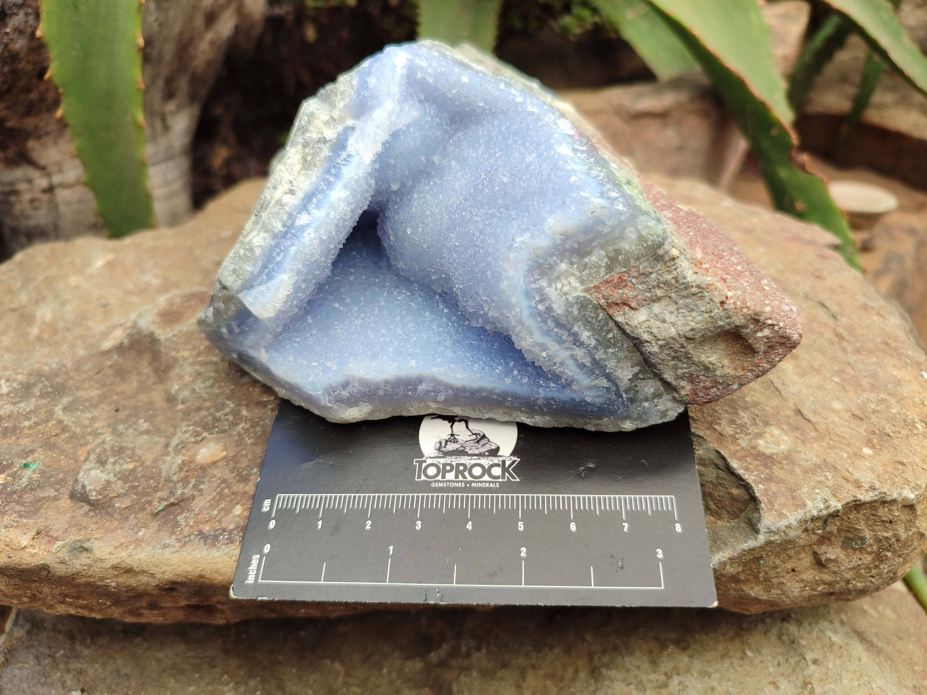 Natural Blue Lace Agate Geode Specimens x 3 From Malawi - Toprock Gemstones and Minerals 