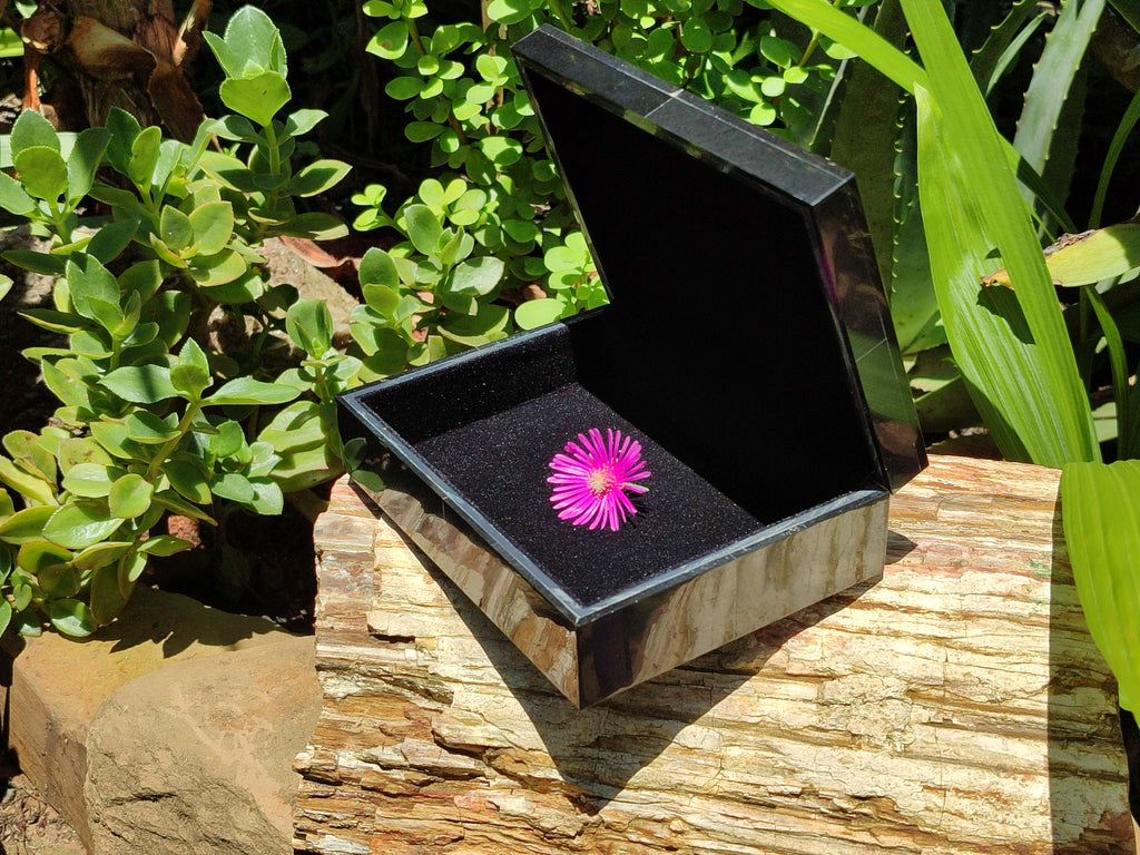 Hand Made Jet Lignite Jewellery Box x 1 From Swaziland - Toprock Gemstones and Minerals 