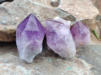 Polished Jacaranda Amethyst Crystals x 6 From Zambia - Toprock Gemstones and Minerals 