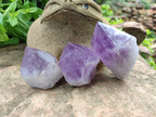 Polished Jacaranda Amethyst Crystals x 6 From Zambia - Toprock Gemstones and Minerals 