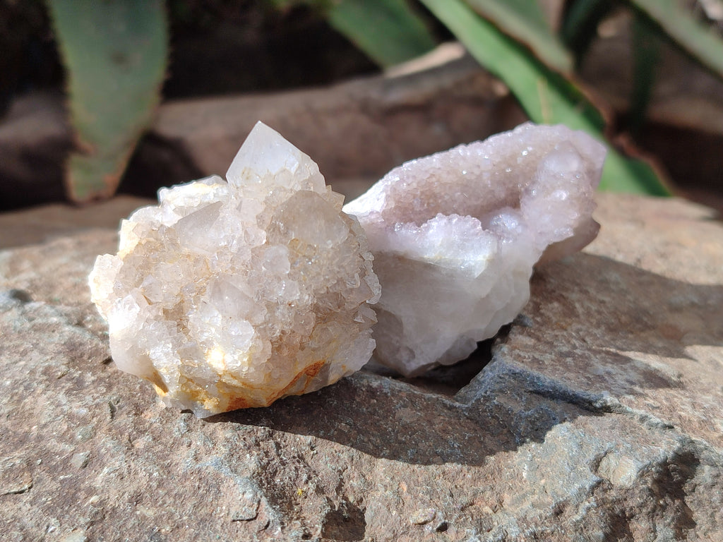 Natural Spirit Quartz Specimens x 20 From Boekenhouthoek, South Africa - Toprock Gemstones and Minerals 