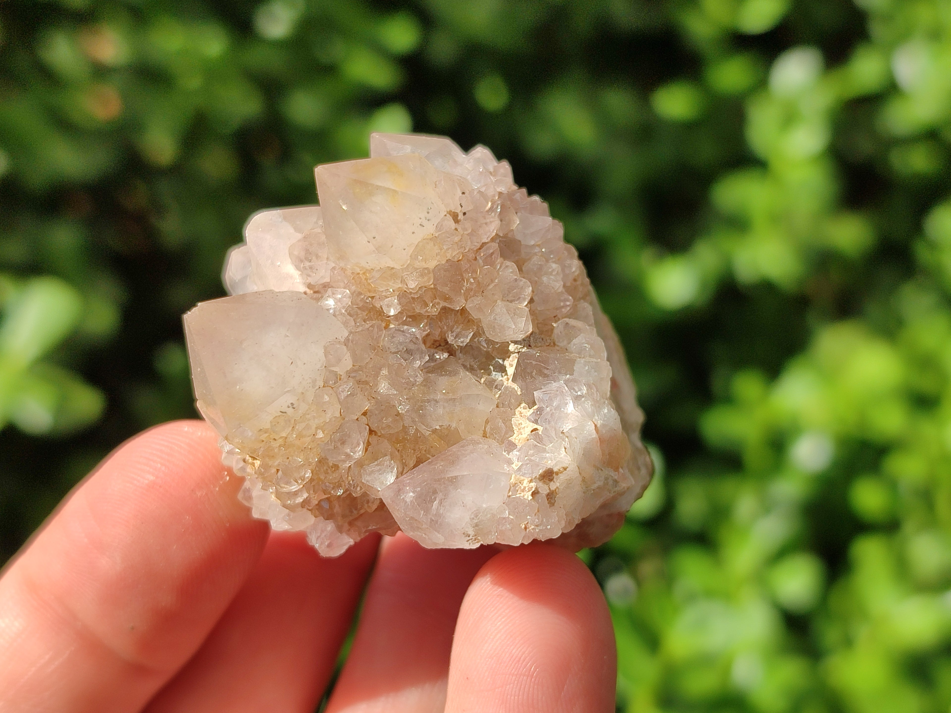 Natural Spirit Quartz Specimens x 20 From Boekenhouthoek, South Africa - Toprock Gemstones and Minerals 