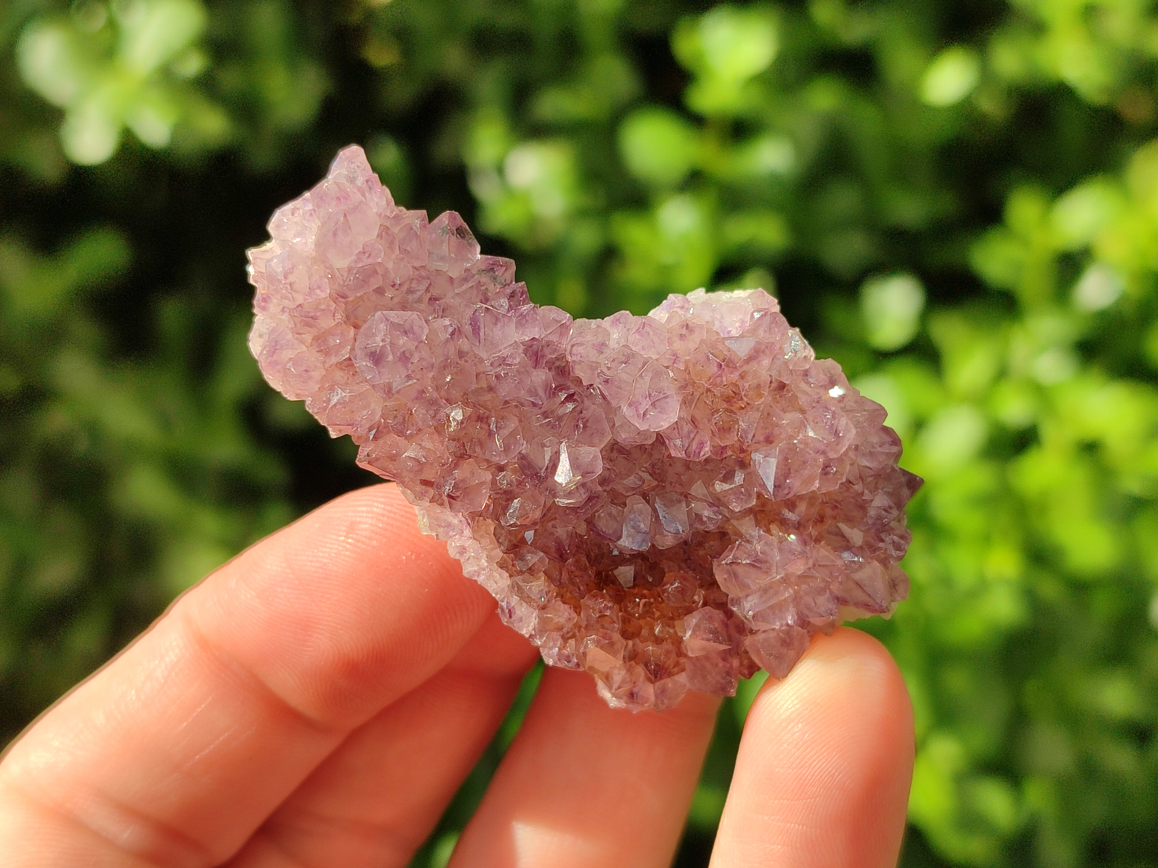 Natural Spirit Quartz Specimens x 20 From Boekenhouthoek, South Africa - Toprock Gemstones and Minerals 