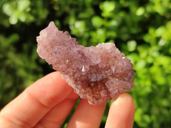 Natural Spirit Quartz Specimens x 20 From Boekenhouthoek, South Africa - Toprock Gemstones and Minerals 