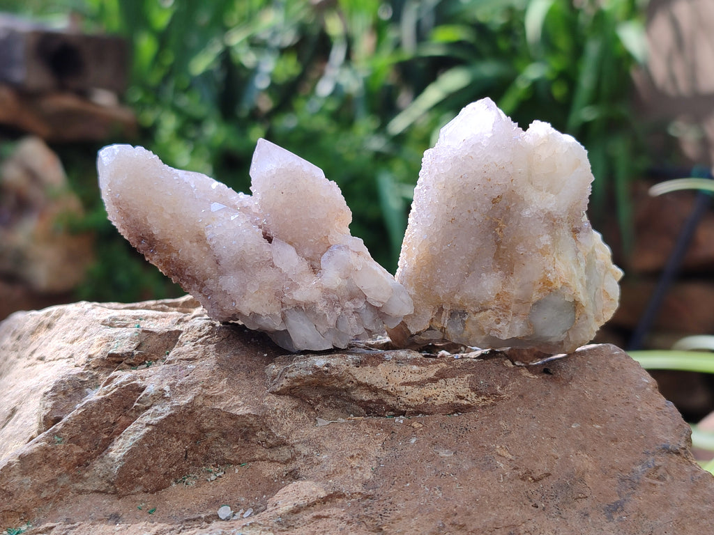 Natural Spirit Quartz Specimens x 20 From Boekenhouthoek, South Africa - Toprock Gemstones and Minerals 