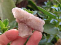 Natural Spirit Quartz Specimens x 20 From Boekenhouthoek, South Africa - Toprock Gemstones and Minerals 
