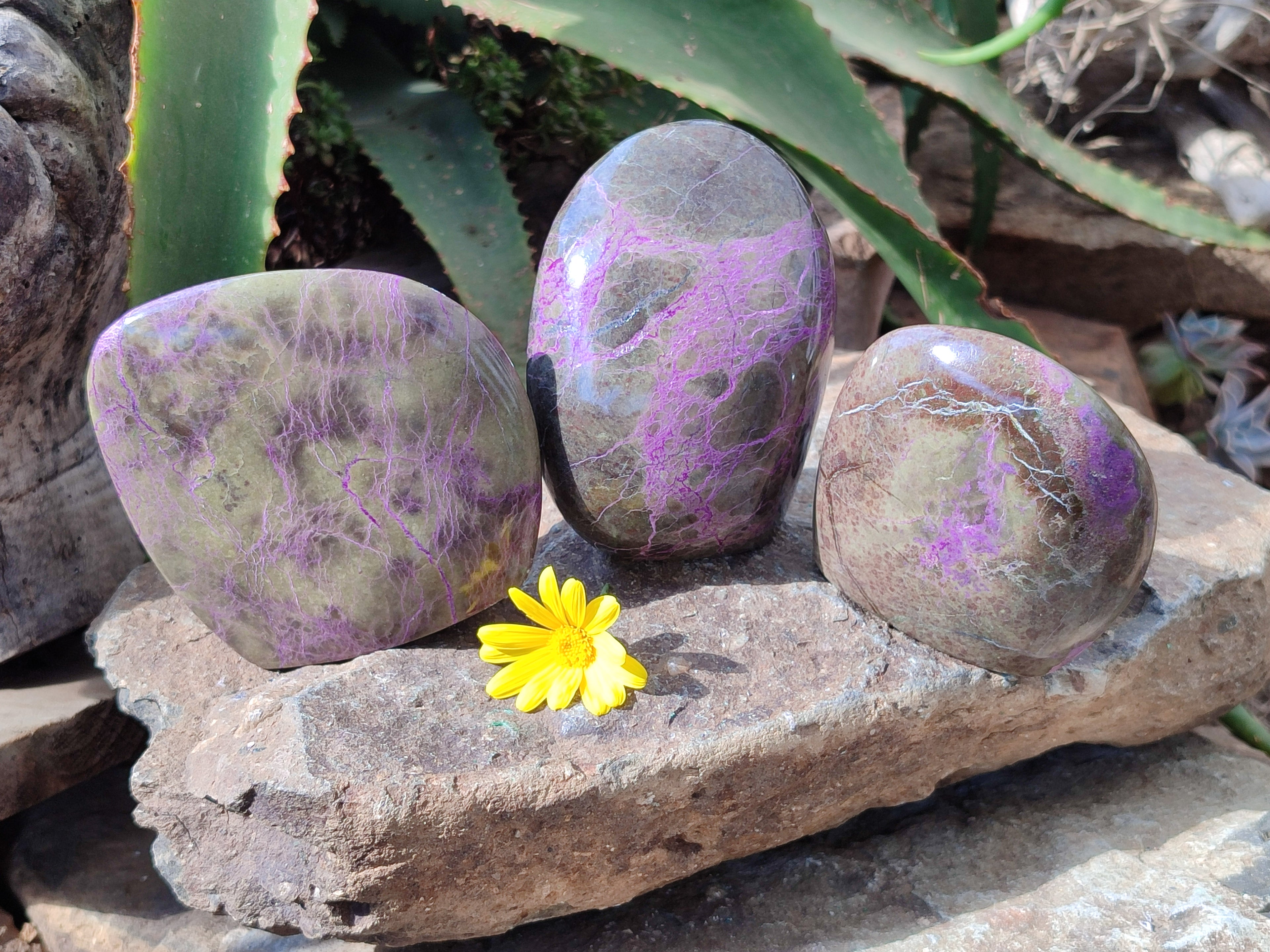 Polished Stichtite Standing Free Forms x 3 From Barberton, South Africa - Toprock Gemstones and Minerals 