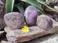 Polished Stichtite Standing Free Forms x 3 From Barberton, South Africa - Toprock Gemstones and Minerals 
