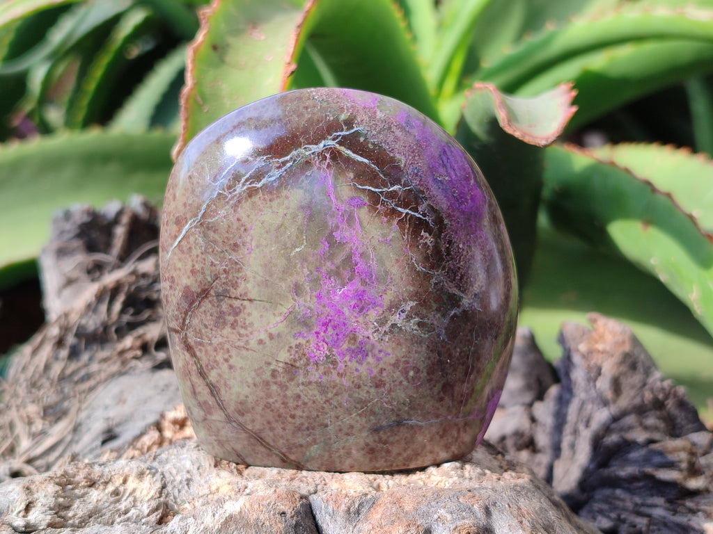 Polished Stichtite Standing Free Forms x 3 From Barberton, South Africa - Toprock Gemstones and Minerals 