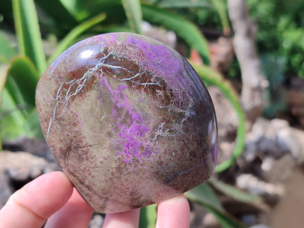 Polished Stichtite Standing Free Forms x 3 From Barberton, South Africa - Toprock Gemstones and Minerals 