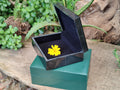 Hand Made Jet Lignite Jewellery Box x 1 From Swaziland - Toprock Gemstones and Minerals 