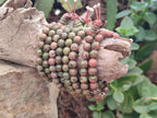 Polished Unakite Beaded Stretch Buddha Bracelet - Sold Per Item - From South Africa - Toprock Gemstones and Minerals 