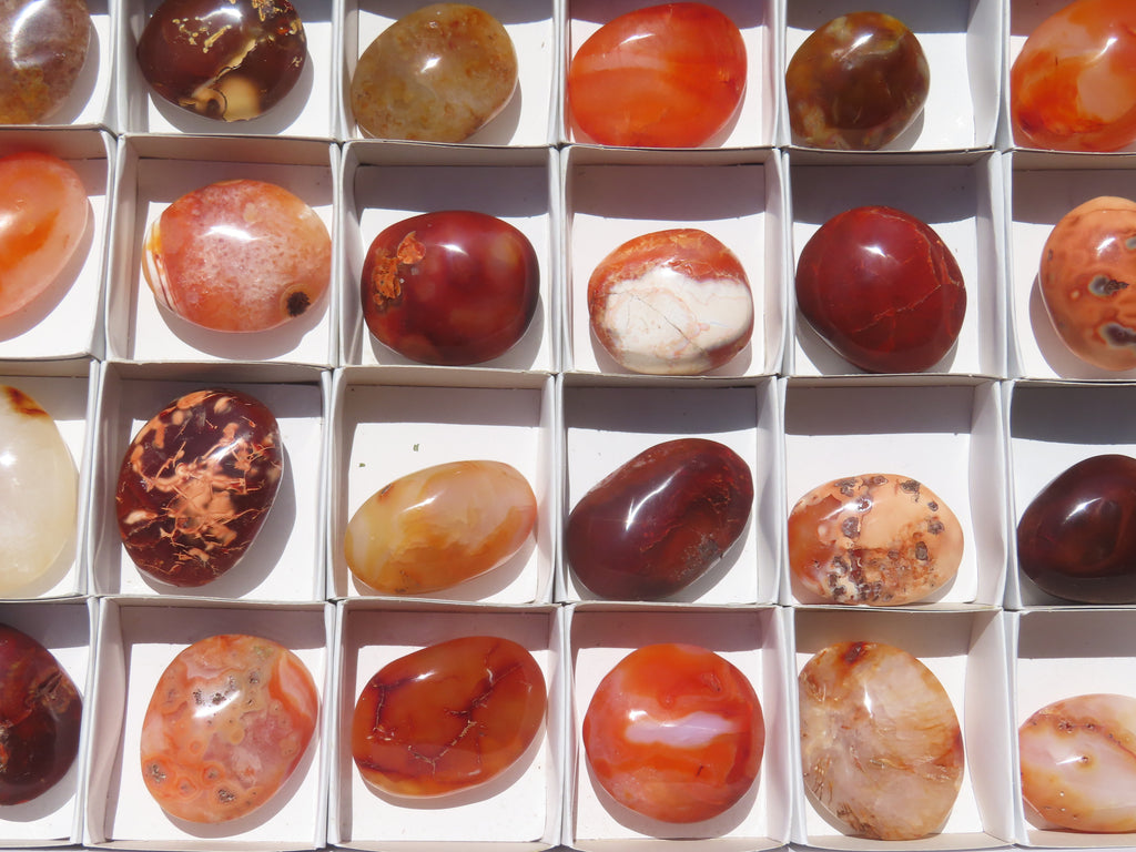 Polished Carnelian Palm Stones x 24 From Madagascar - Toprock Gemstones and Minerals 
