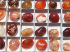 Polished Carnelian Palm Stones x 24 From Madagascar - Toprock Gemstones and Minerals 