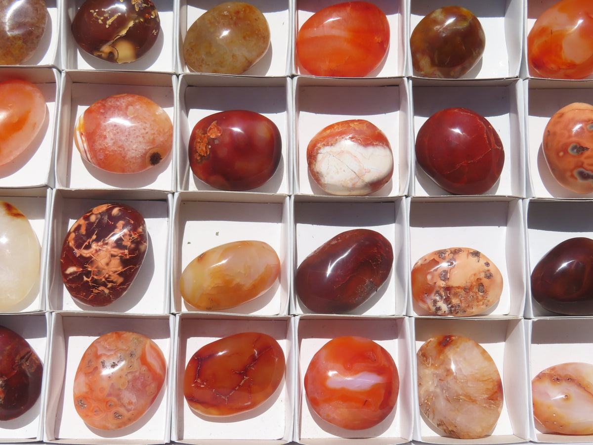 Polished Carnelian Palm Stones x 24 From Madagascar - Toprock Gemstones and Minerals 