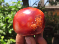 Polished Carnelian Palm Stones x 24 From Madagascar - Toprock Gemstones and Minerals 