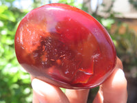 Polished Carnelian Palm Stones x 24 From Madagascar - Toprock Gemstones and Minerals 