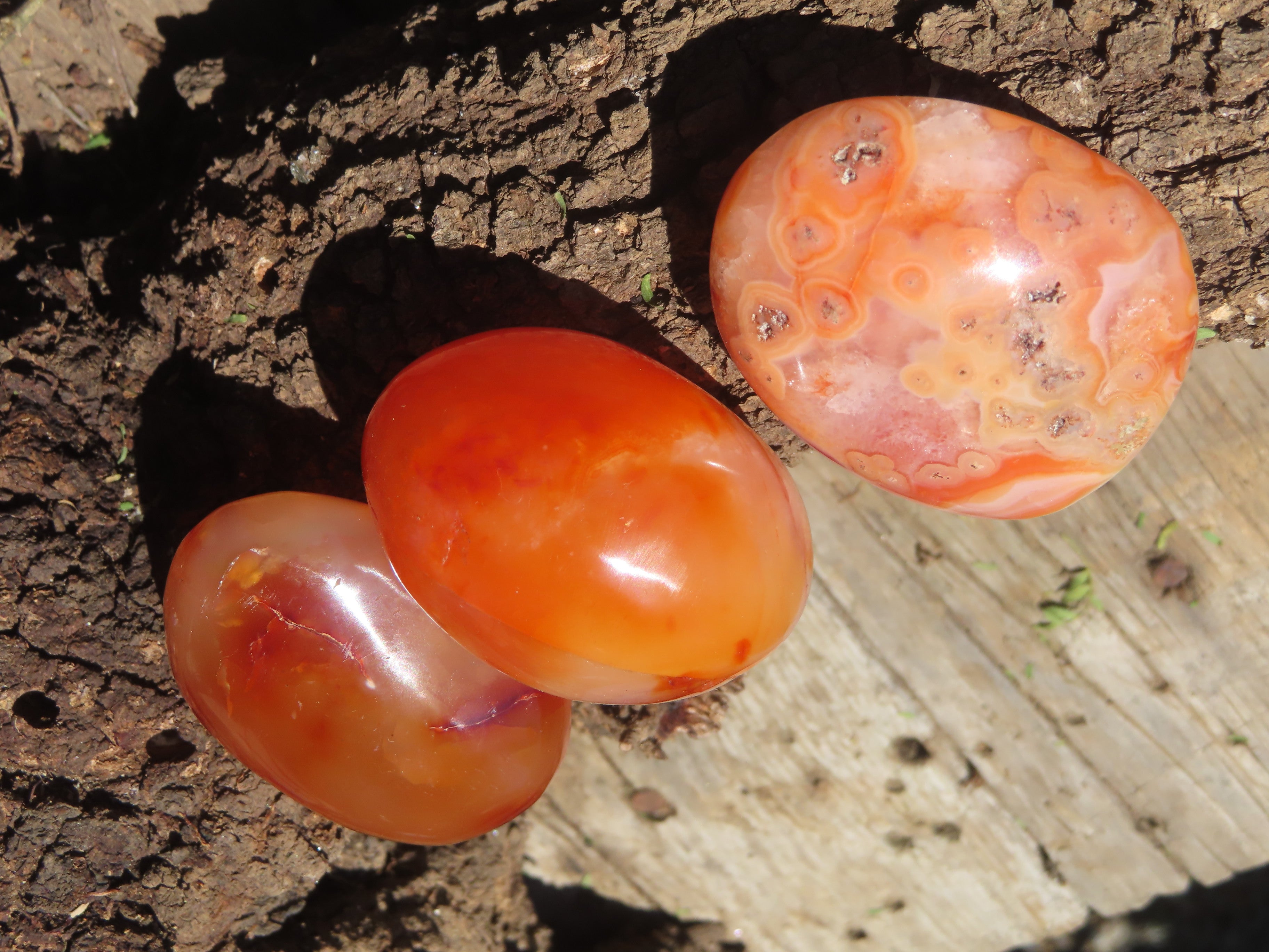 Polished Carnelian Palm Stones x 24 From Madagascar - Toprock Gemstones and Minerals 