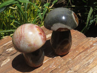 Polished Polychrome Jasper Mushrooms x 6 From Madagascar
