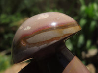 Polished Polychrome Jasper Mushrooms x 6 From Madagascar
